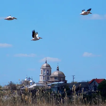 بيت للعطل Birds House جوريلوفكا