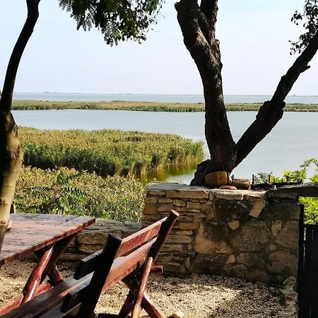 Birds House * 주릴로브카
