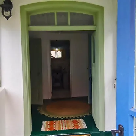 Birds House